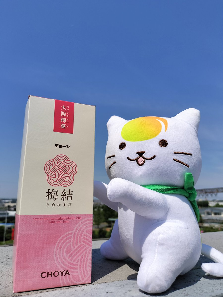 CHOYAofficial's tweet photo. おはようございニャス🟢🐈️✨
週明け月曜日❗️
今日はサンキューの日ですね✨　いつもありがch^o^yaございます😃✨
では今日も無理せずぼちぼちまいりまch^o^ya〜😃✨✨ https://t.co/YkkNMsLquR