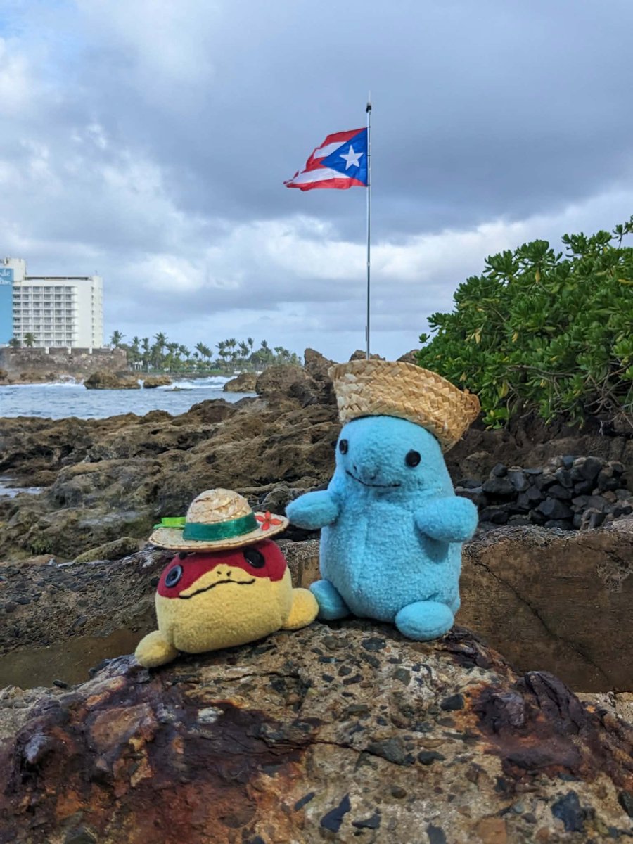 LWJosh91 tweet media