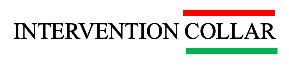 60 seconds to know tweet media