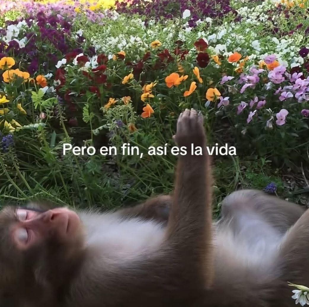 Lonely🥀 (@angelo_uf) on Twitter photo 