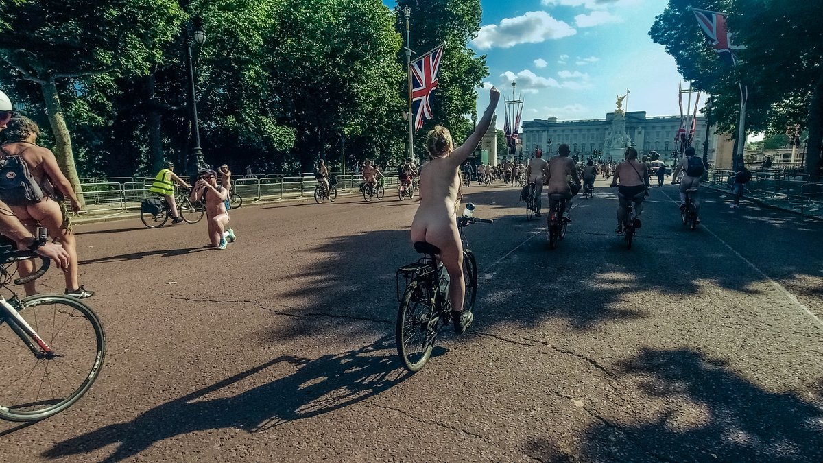 Lucy Muse tweet media