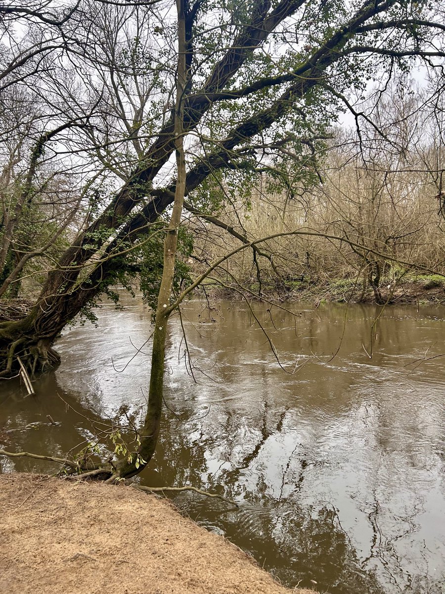 Heather RNC CCN QN 💙 tweet media