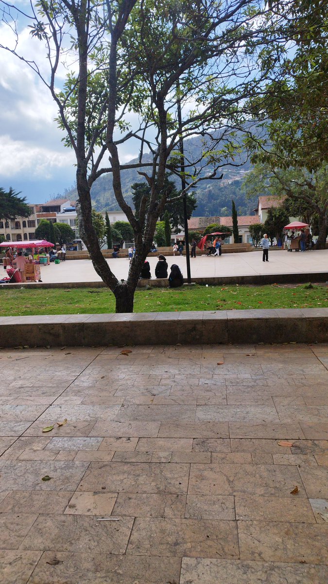 valejuli tweet media