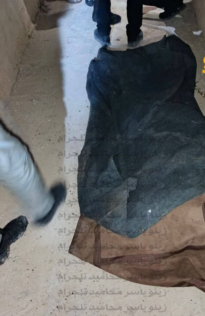 جر..يمة قتل تهز ريف حلب الجنوبي 
مقتل فتاة على يد شقيقها بعد تعهد والدها اديب الجمعة الهيبي بحفظها وضمان سلامتها امام مجلس القبائل والعشائر