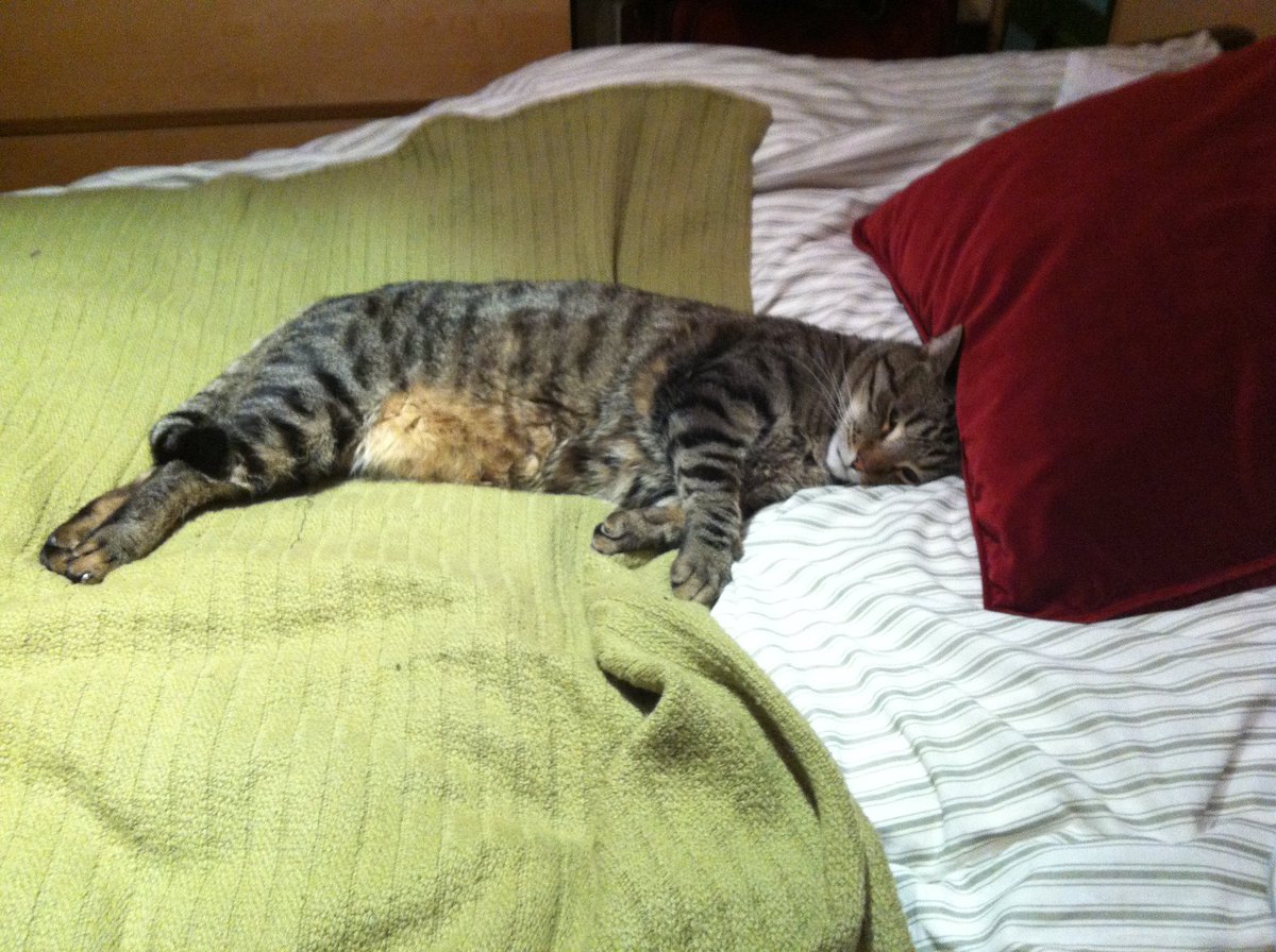 Gillian Fritzsche tweet media