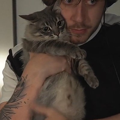 cellpets tweet media