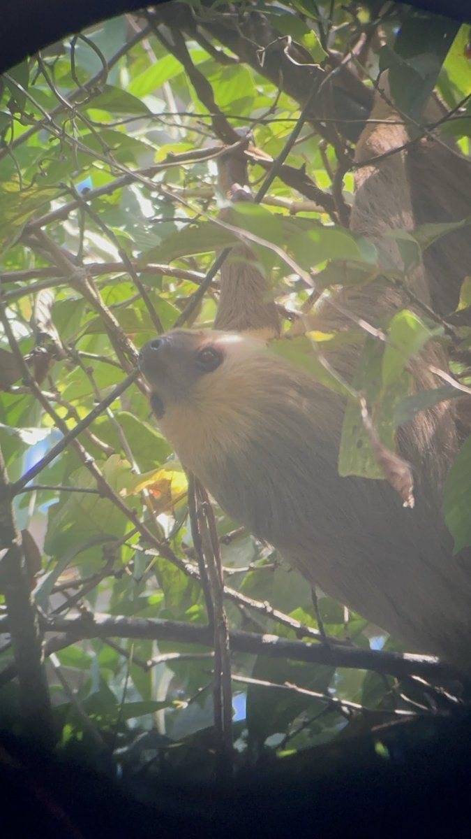 Jessica Conley tweet media