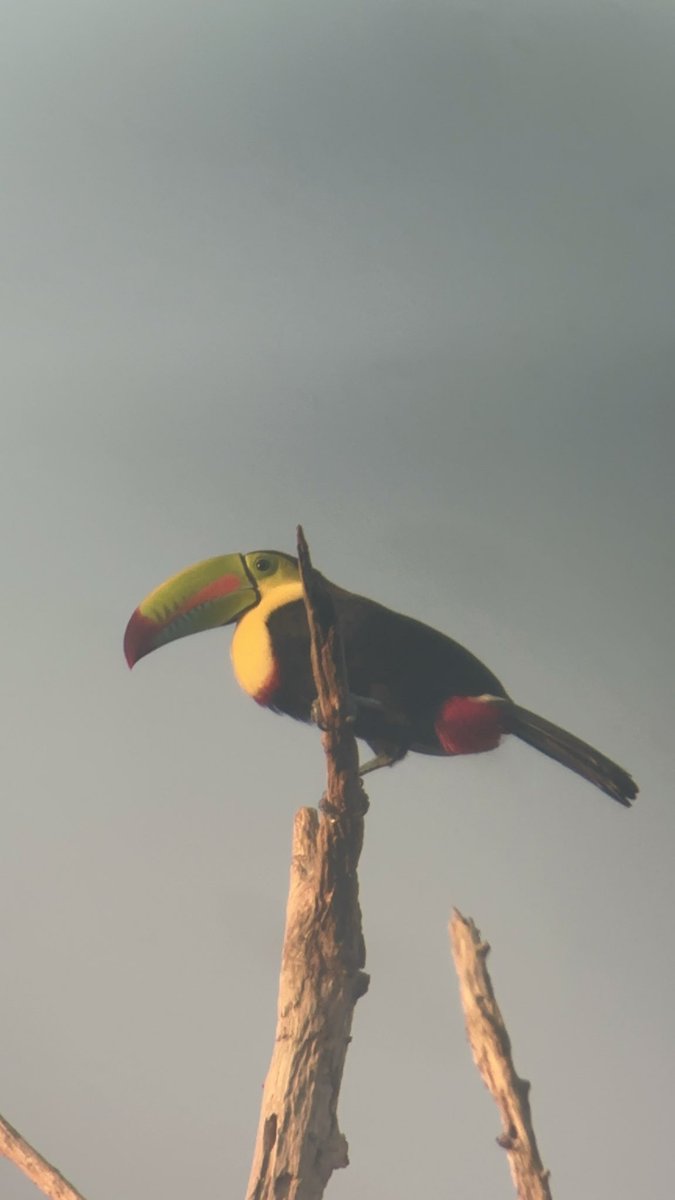 Jessica Conley tweet media