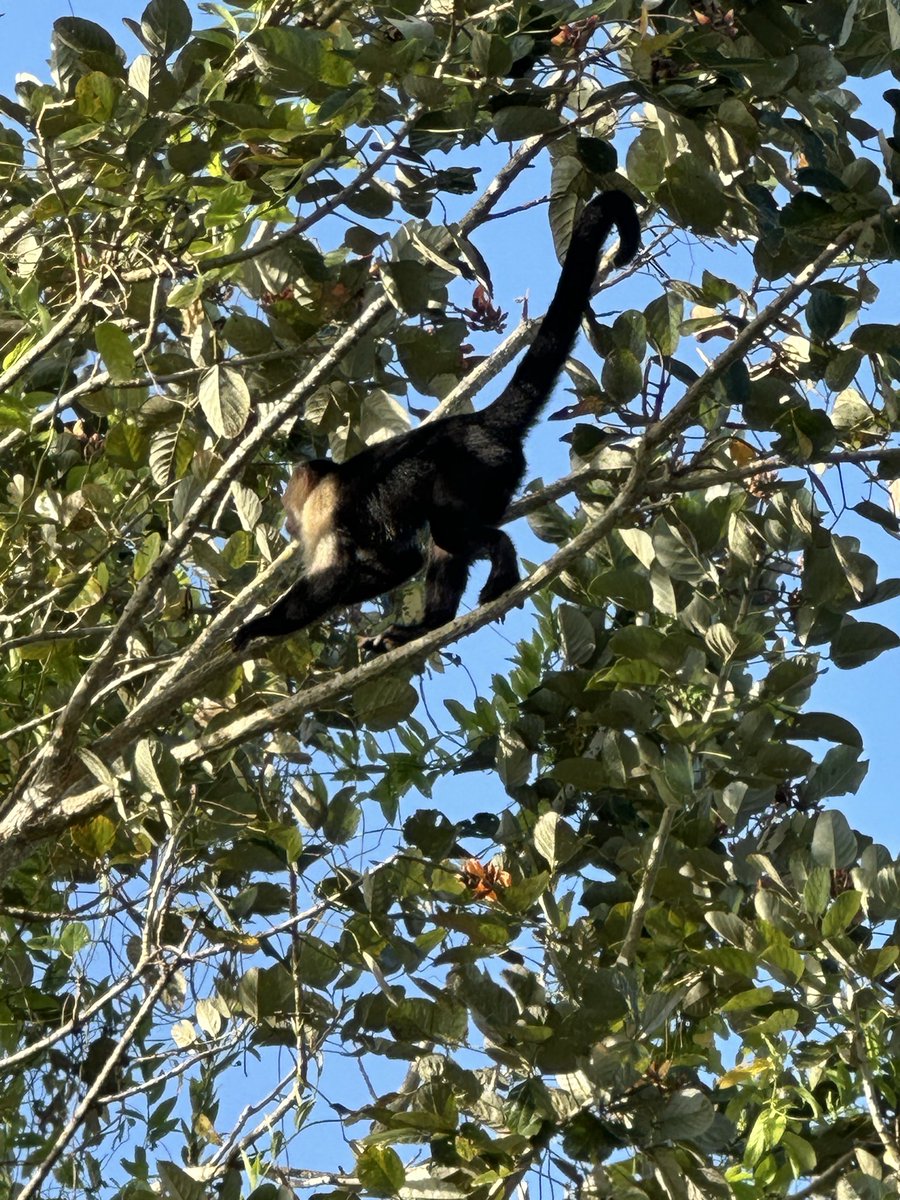 Jessica Conley tweet media