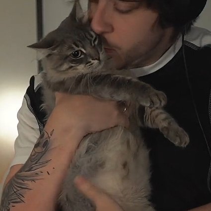 cellpets tweet media