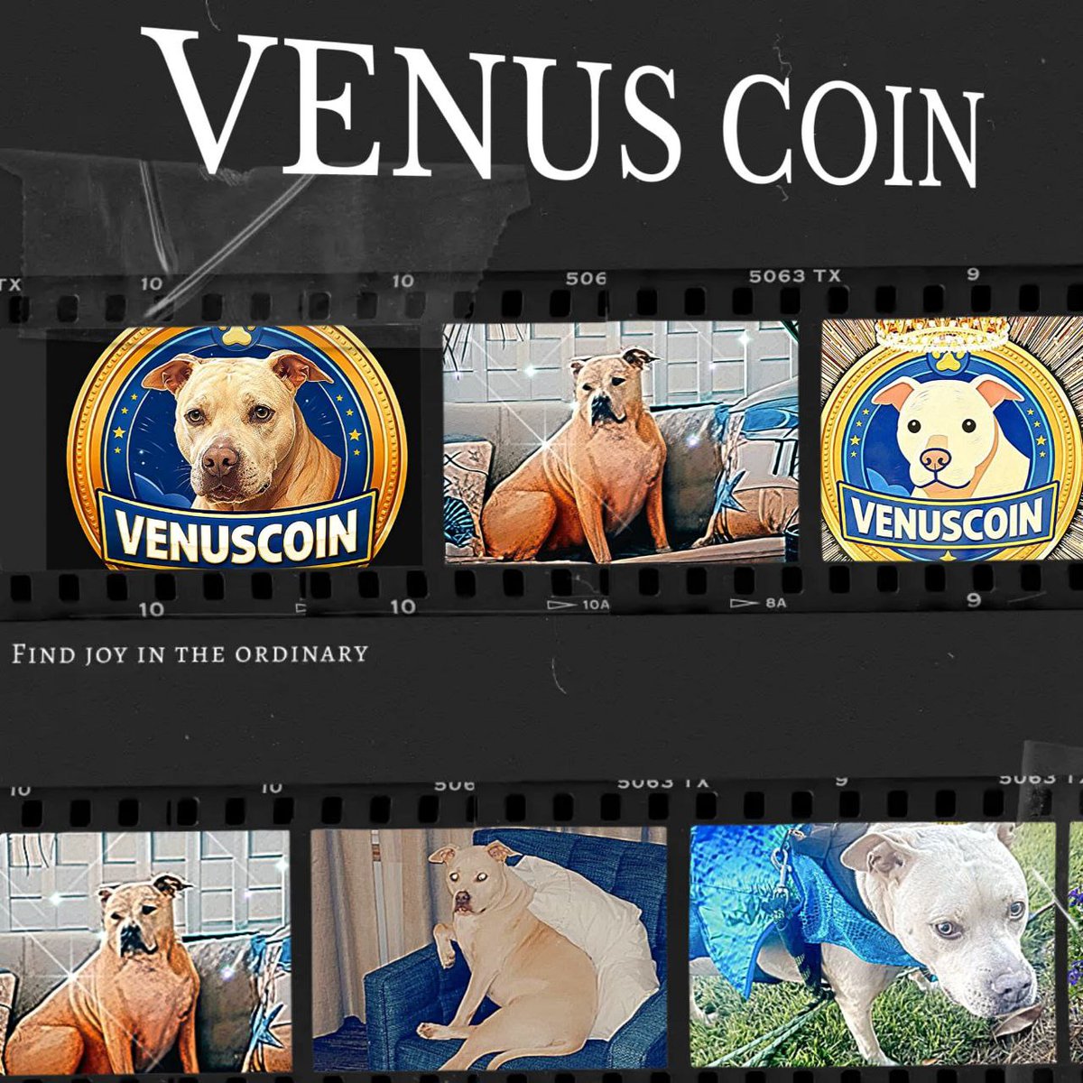 Early memes look boring.
Until they aren’t.
$VENUS.

@mayamemeVenus
Trade: catex.io/trading/VENUS/…