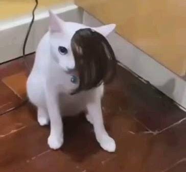 El Jueves que fui a torneo jugué bien y me dio mucho la motivación para cumplir una meta este año. Que sería ser el tercer o segundo mejor toon link del país, entrar de nuevo en ese nivel me motivaría mucho a seguir jugando por gusto y exigirme algo más.