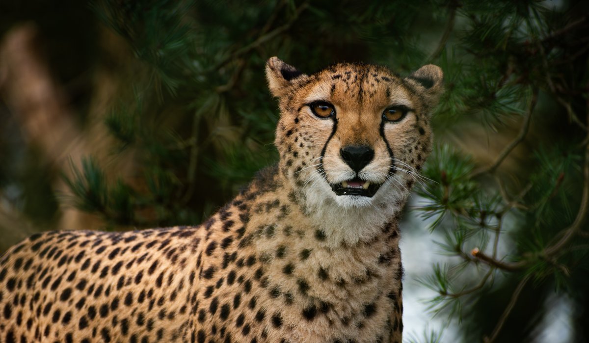 Rob Watson Photography tweet media