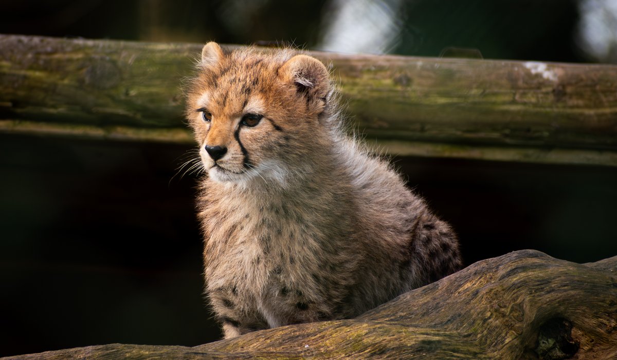 Rob Watson Photography tweet media