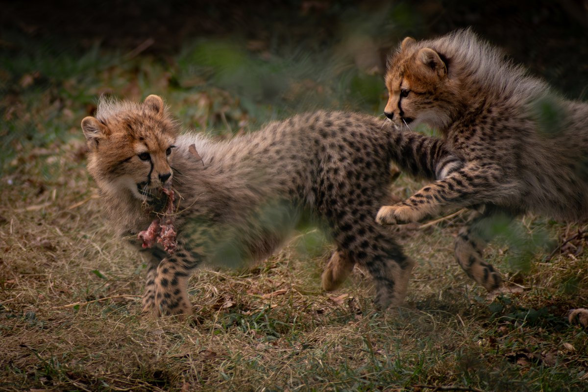 Rob Watson Photography tweet media