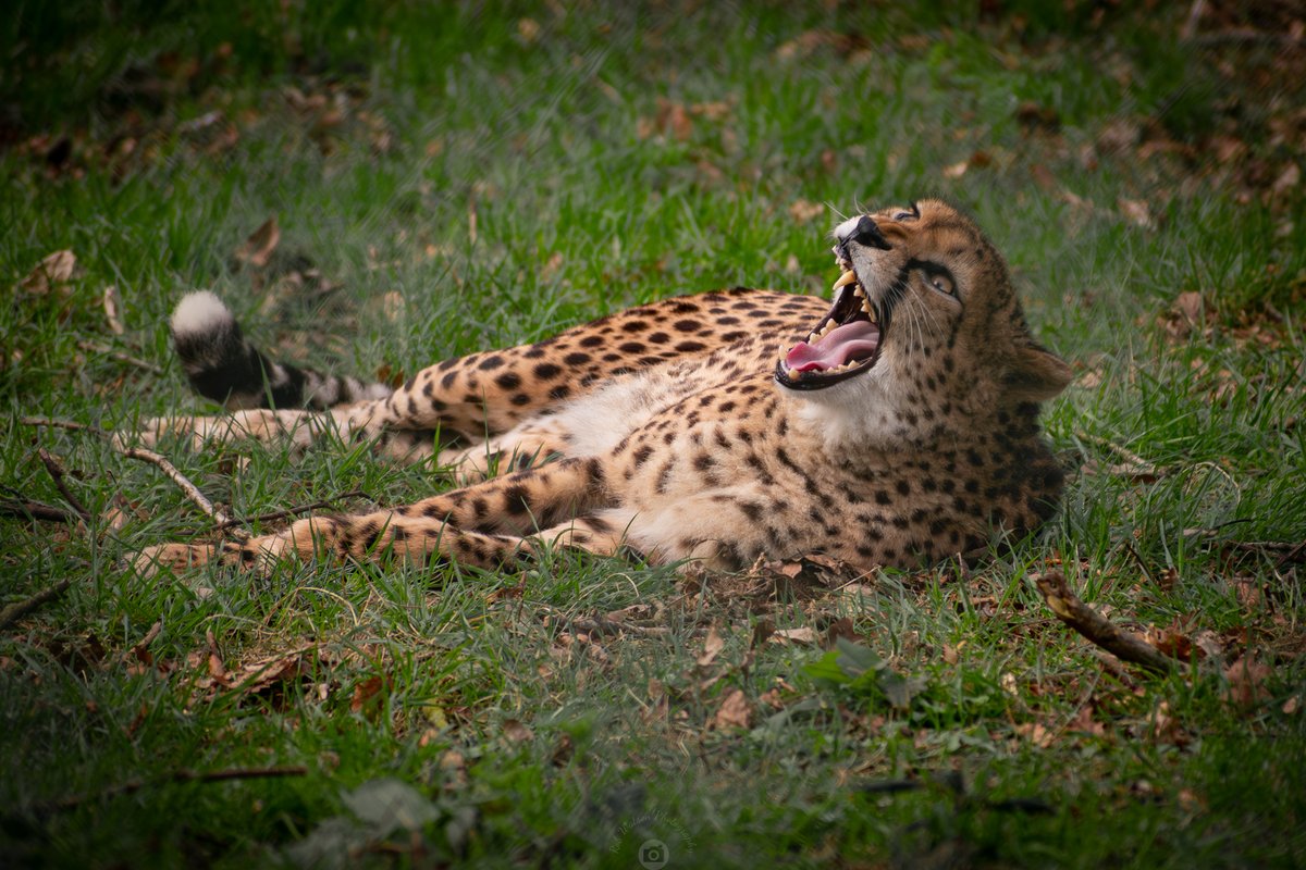 Rob Watson Photography tweet media