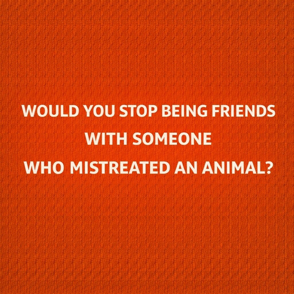 LadyValor tweet media