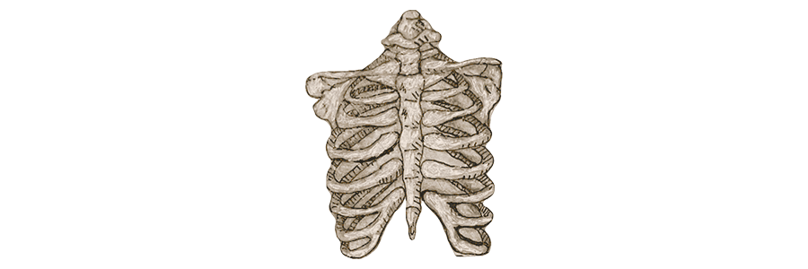 ‍ ‍ ⋆ ⟢ ┈ 𝐀𝐌𝐎𝐑 ╱ 𝐅𝐀𝐓𝐈𓈒 tweet media