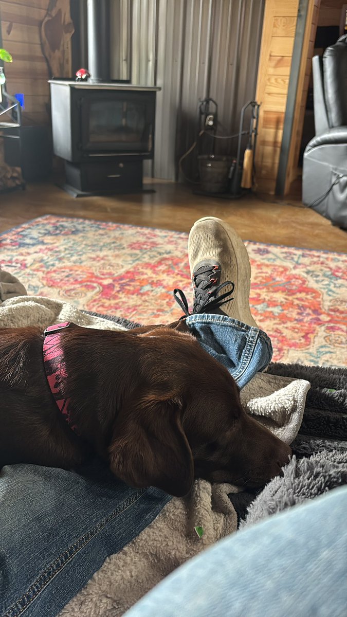 jason cates tweet media