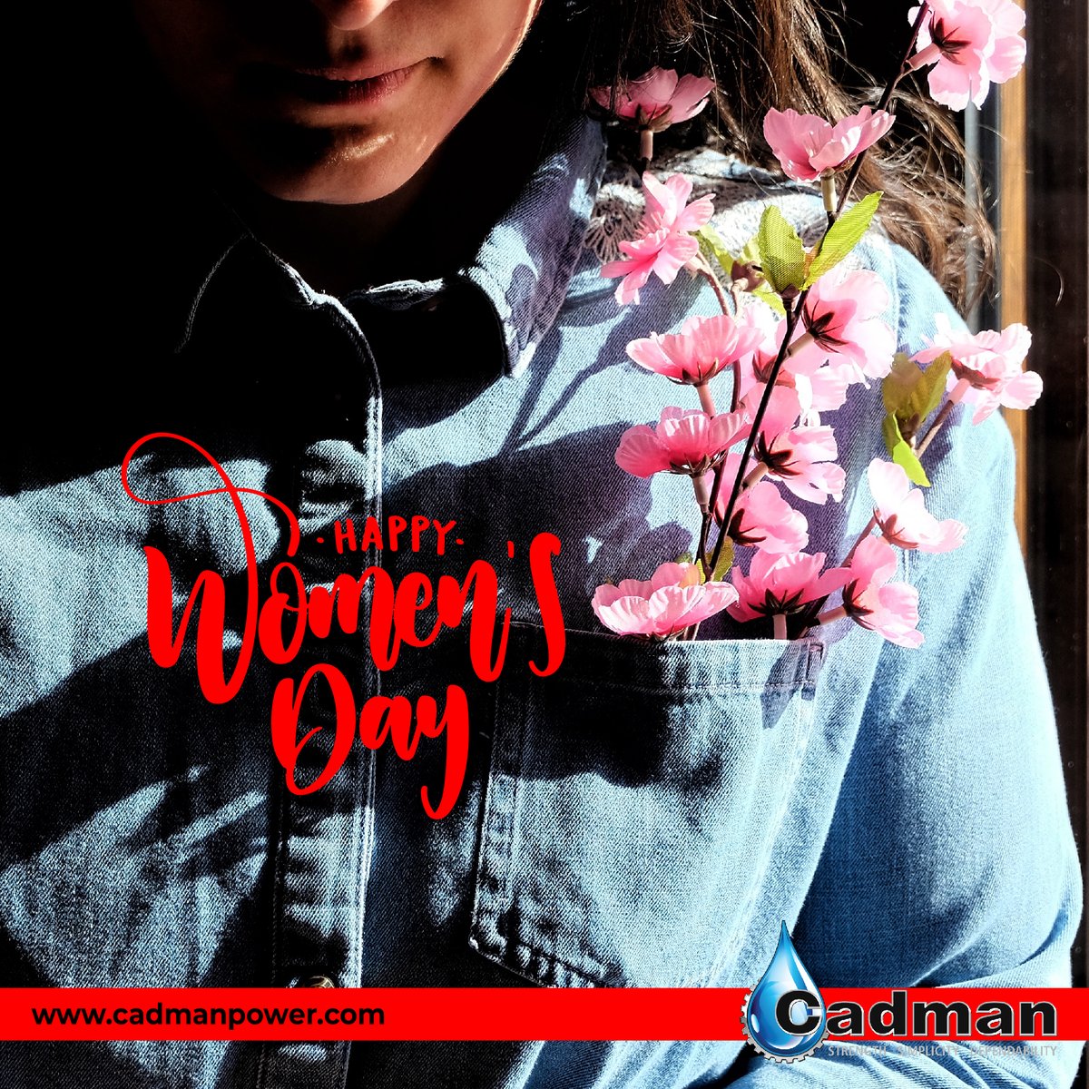 CadmanPowerEquipment tweet media