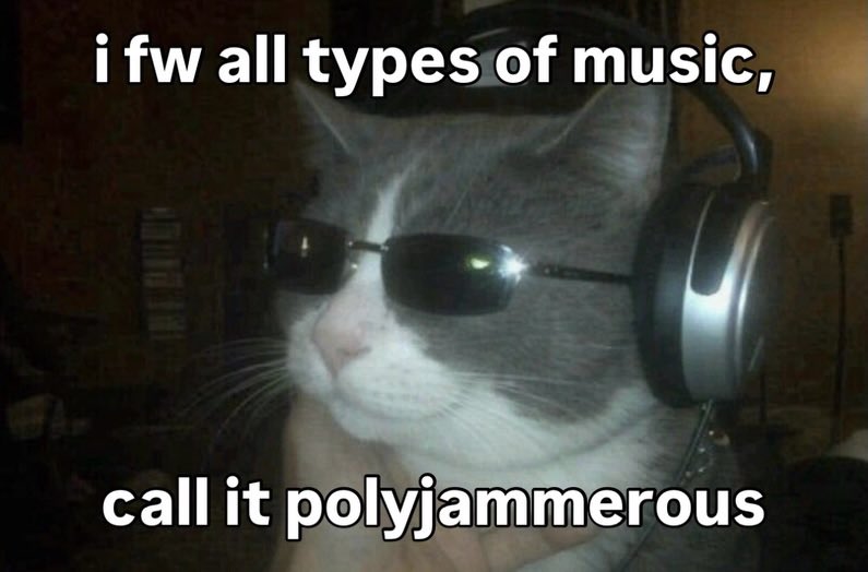 LiterallyMeCats (@literallymecats) on Twitter photo 