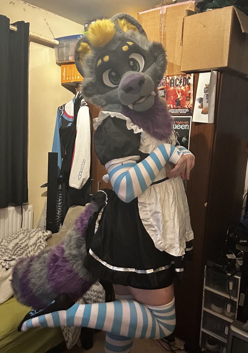 DaffyDaRaccoon tweet media