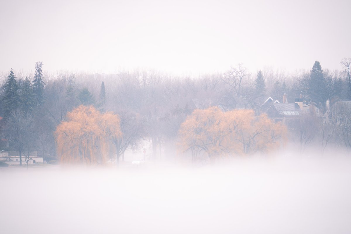 daviss 📸 tweet media