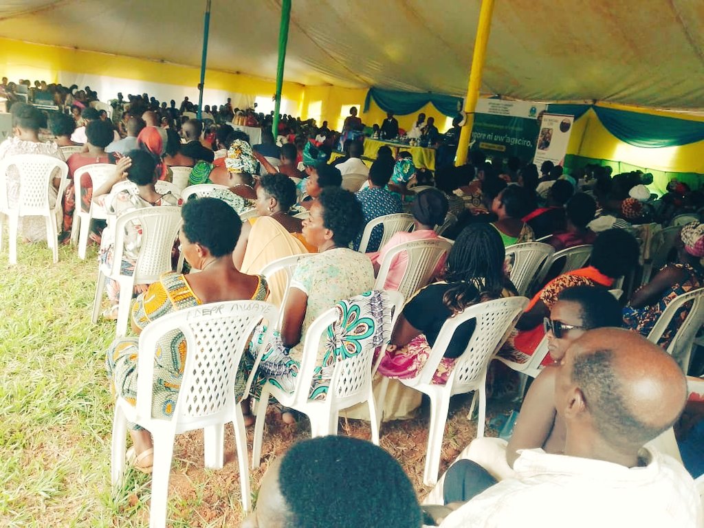 Ndera Sector tweet media