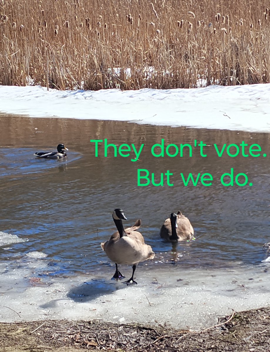 smARTway design tweet media