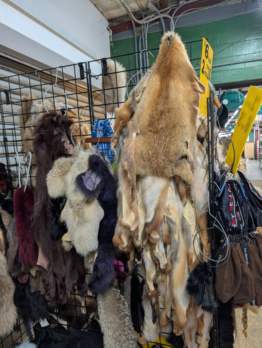 Joe Colangelo tweet media