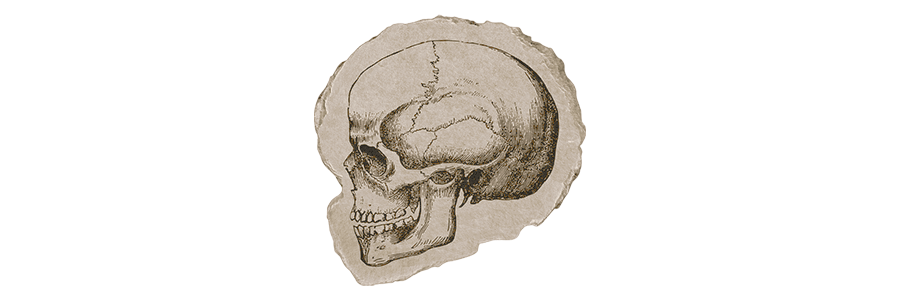 ‍ ‍ ⋆ ⟢ ┈ 𝐀𝐌𝐎𝐑 ╱ 𝐅𝐀𝐓𝐈𓈒 tweet media