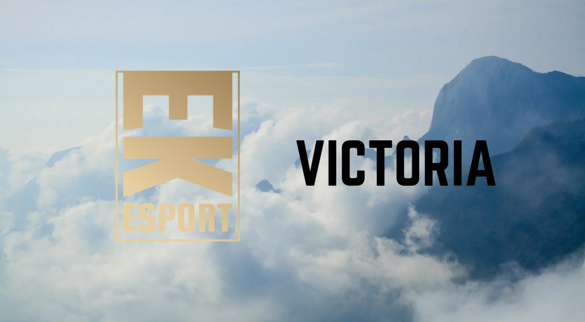 EK esport tweet media