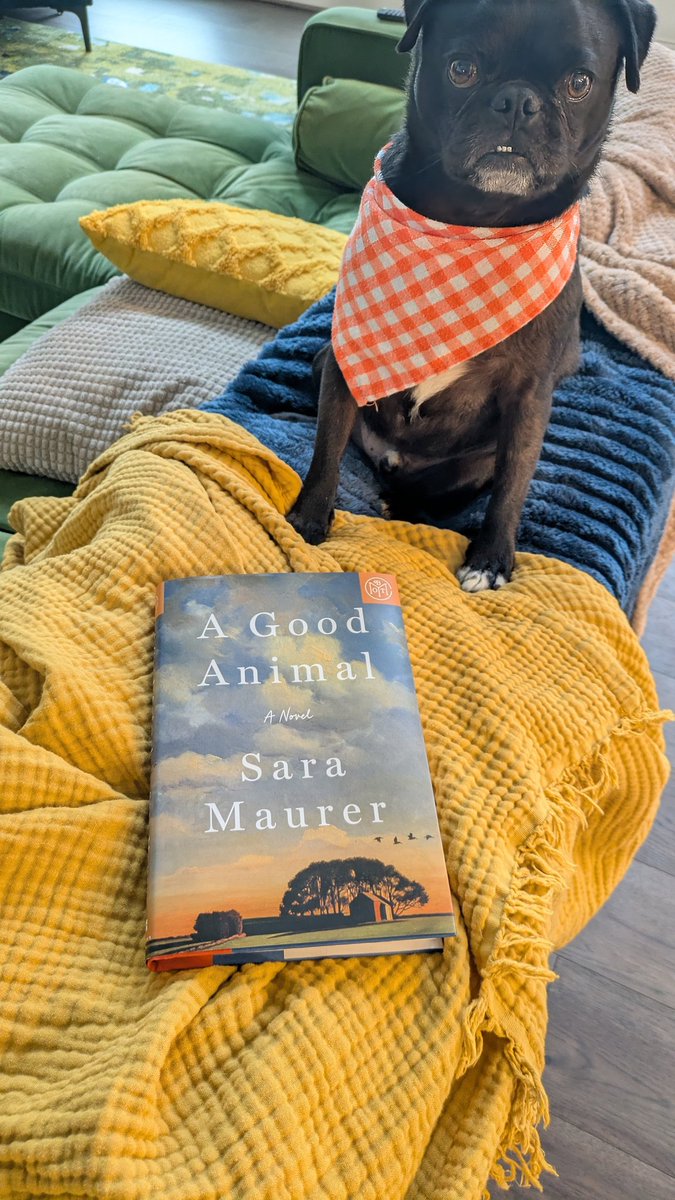 Meagan Lucas tweet media