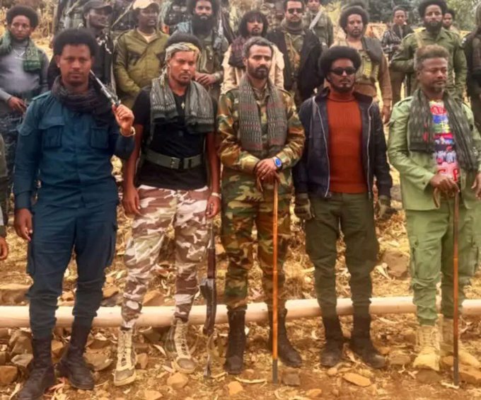 እየመጣን ነው