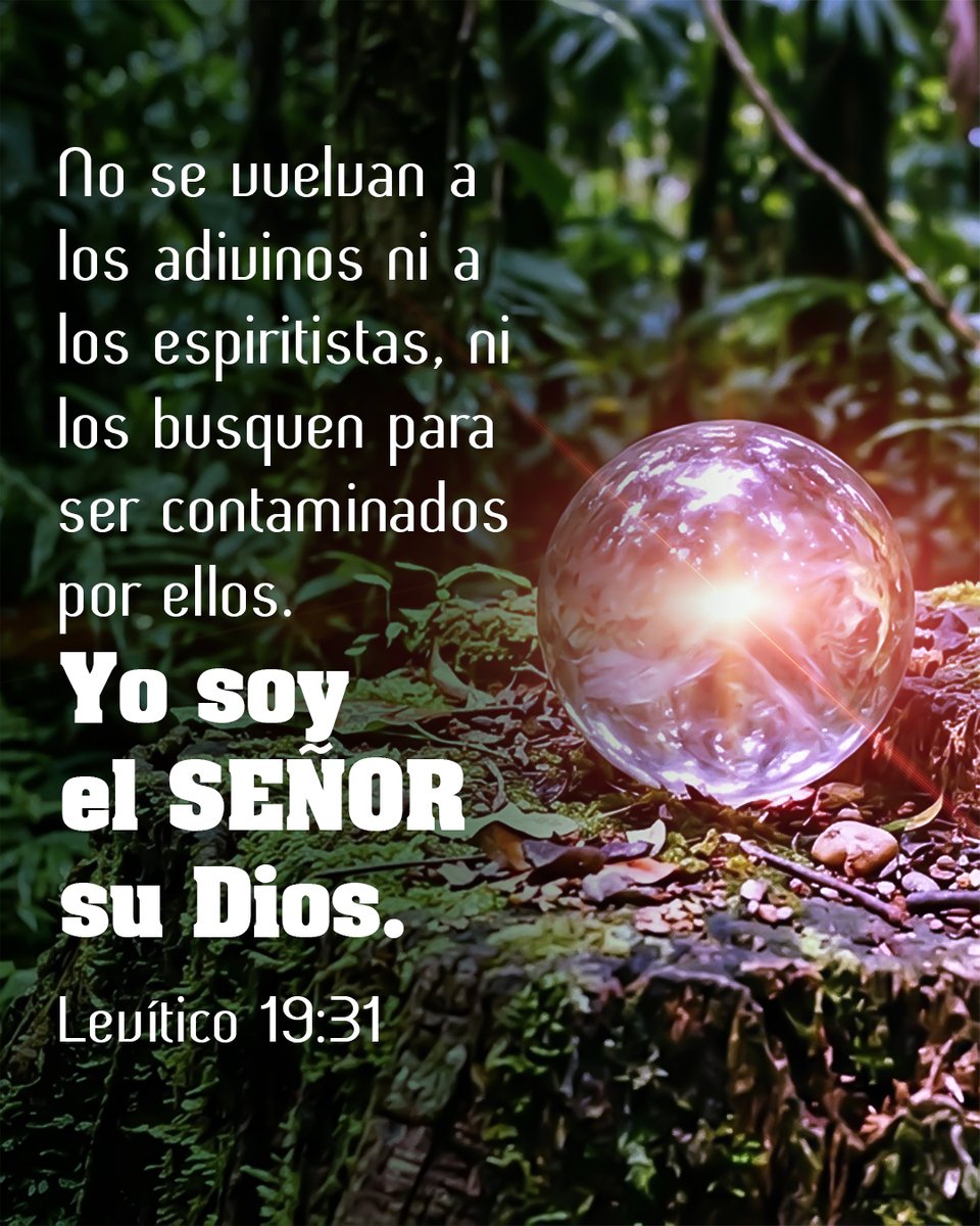 Cerca Está tweet media