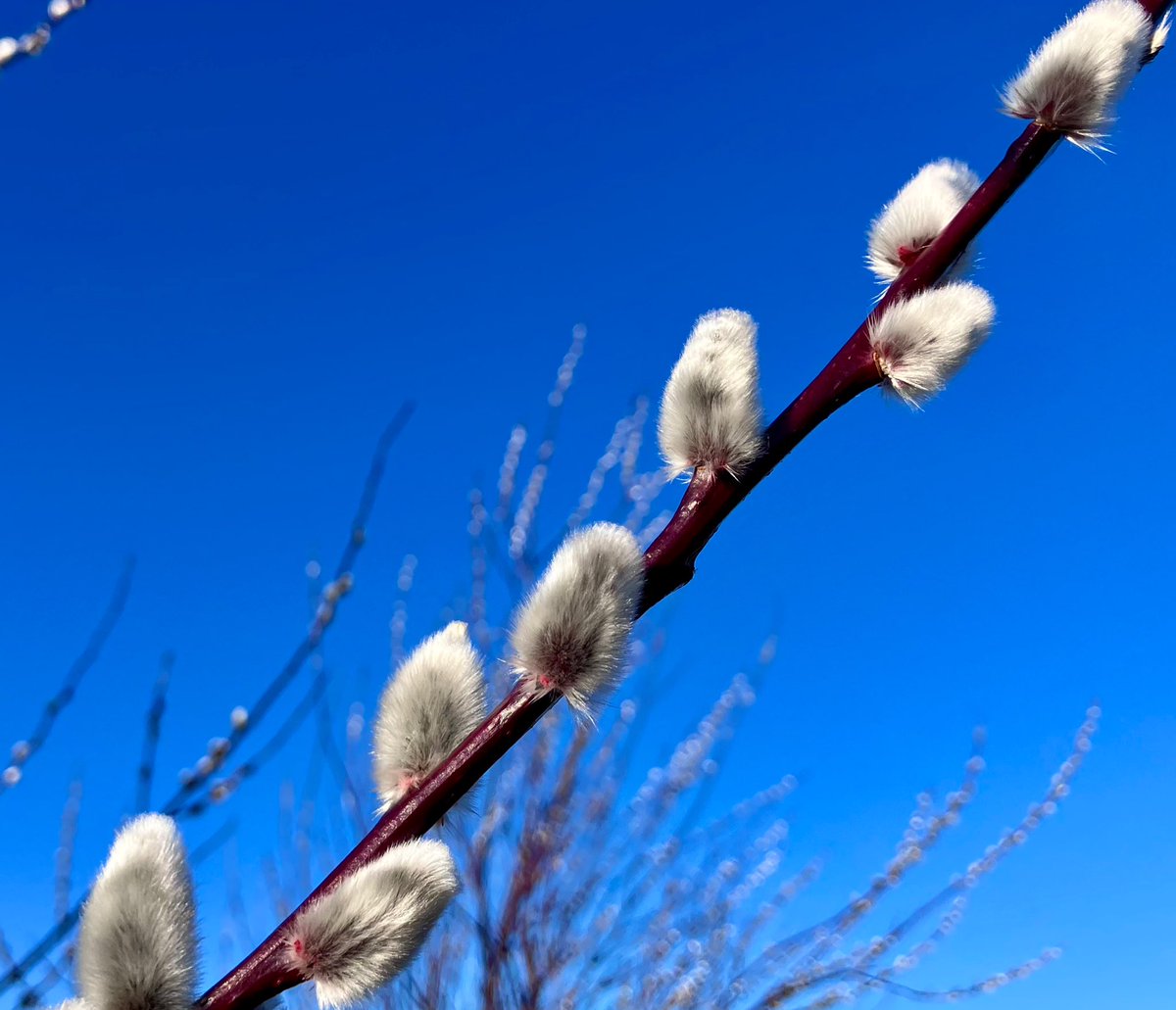 Cloudymamma tweet media