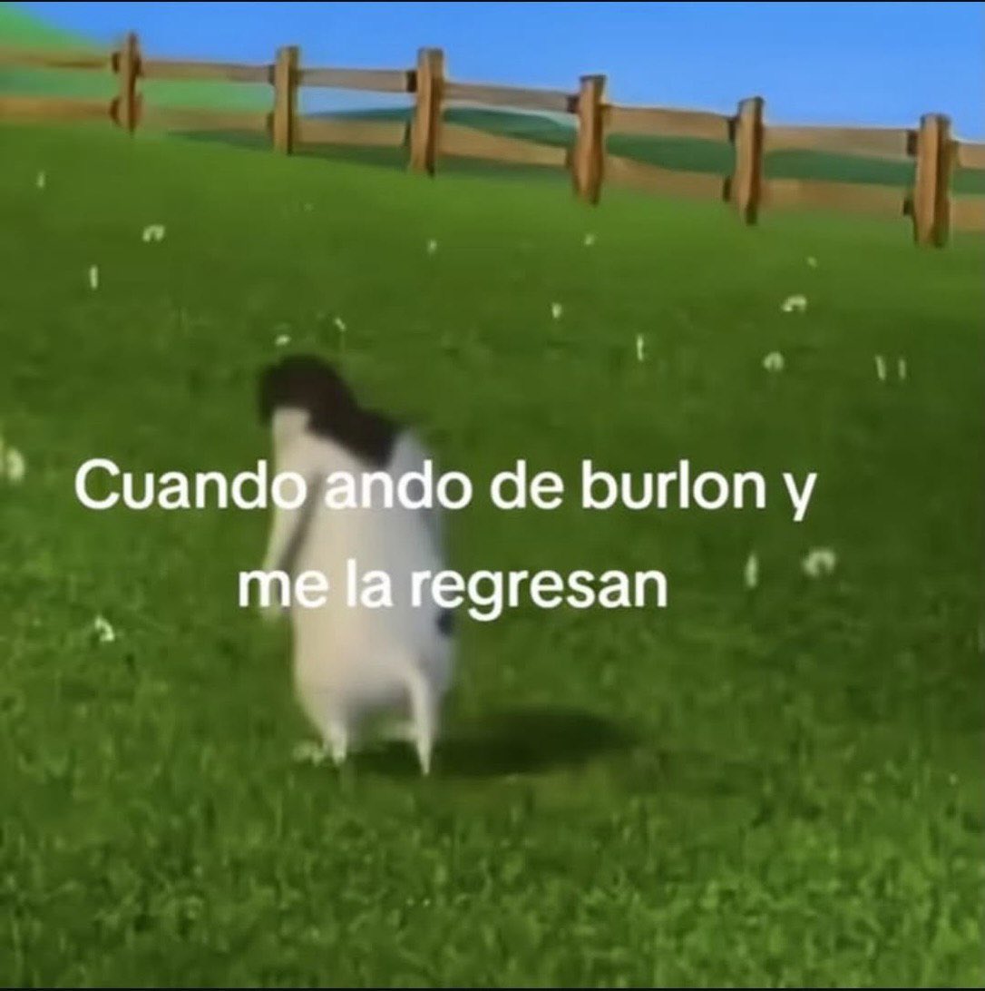 MundoDeBigotes's tweet photo. Así ya no juego https://t.co/1pOji6pg2M