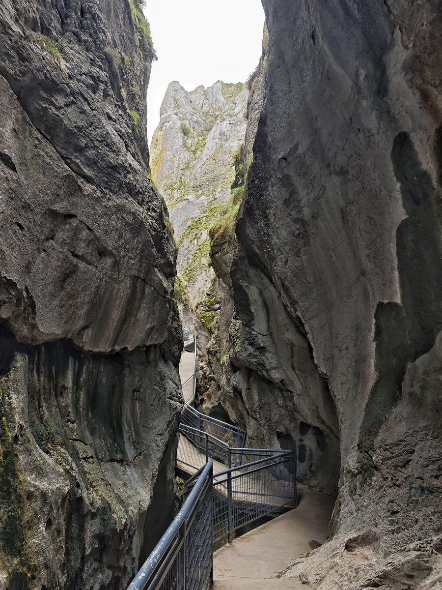 Al Filo Infrüngible tweet media