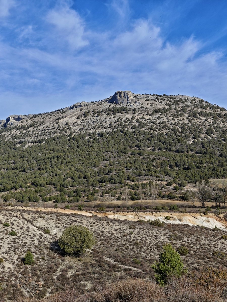 Al Filo Infrüngible tweet media