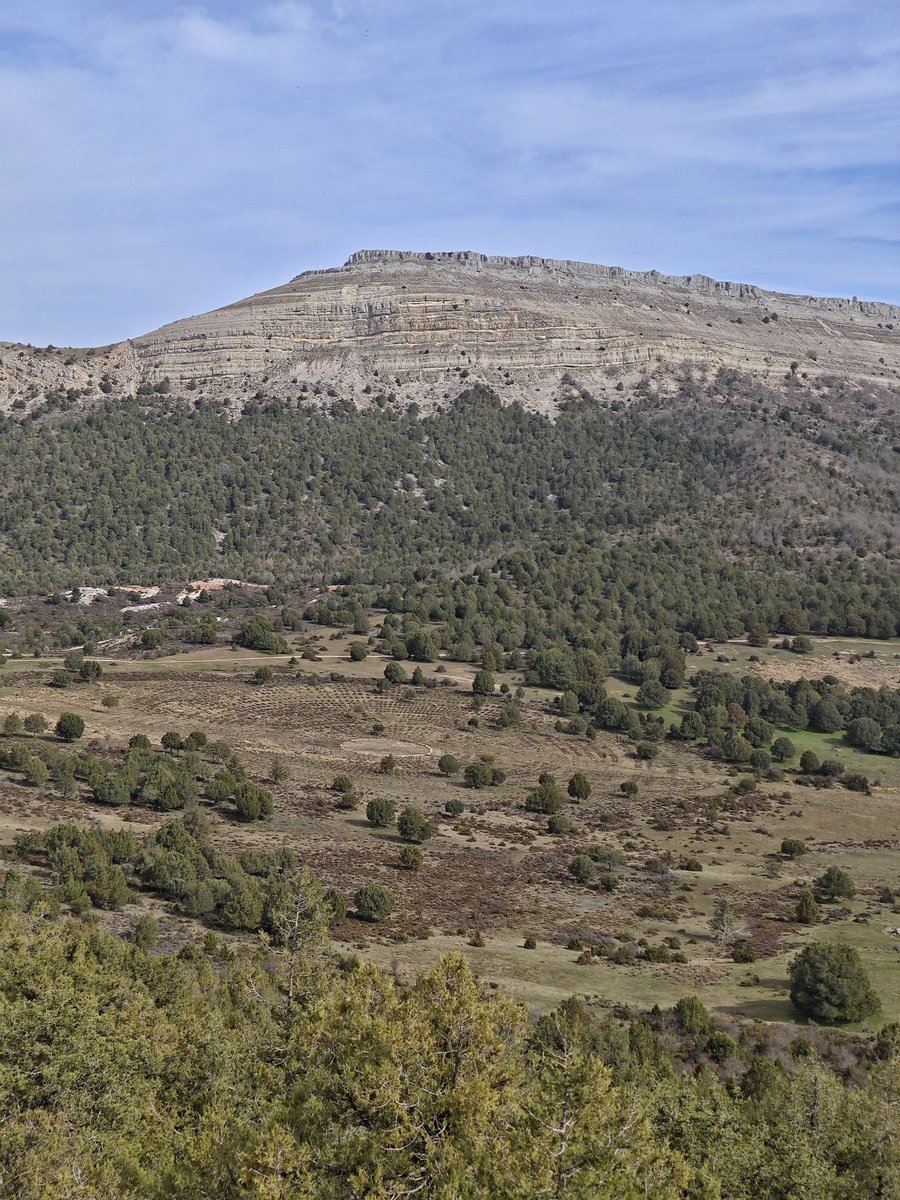 Al Filo Infrüngible tweet media