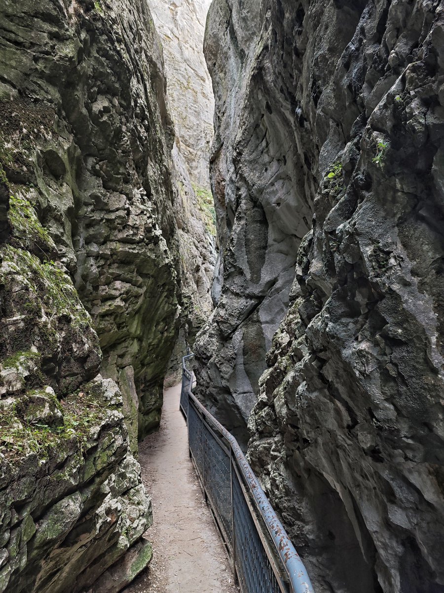 Al Filo Infrüngible tweet media