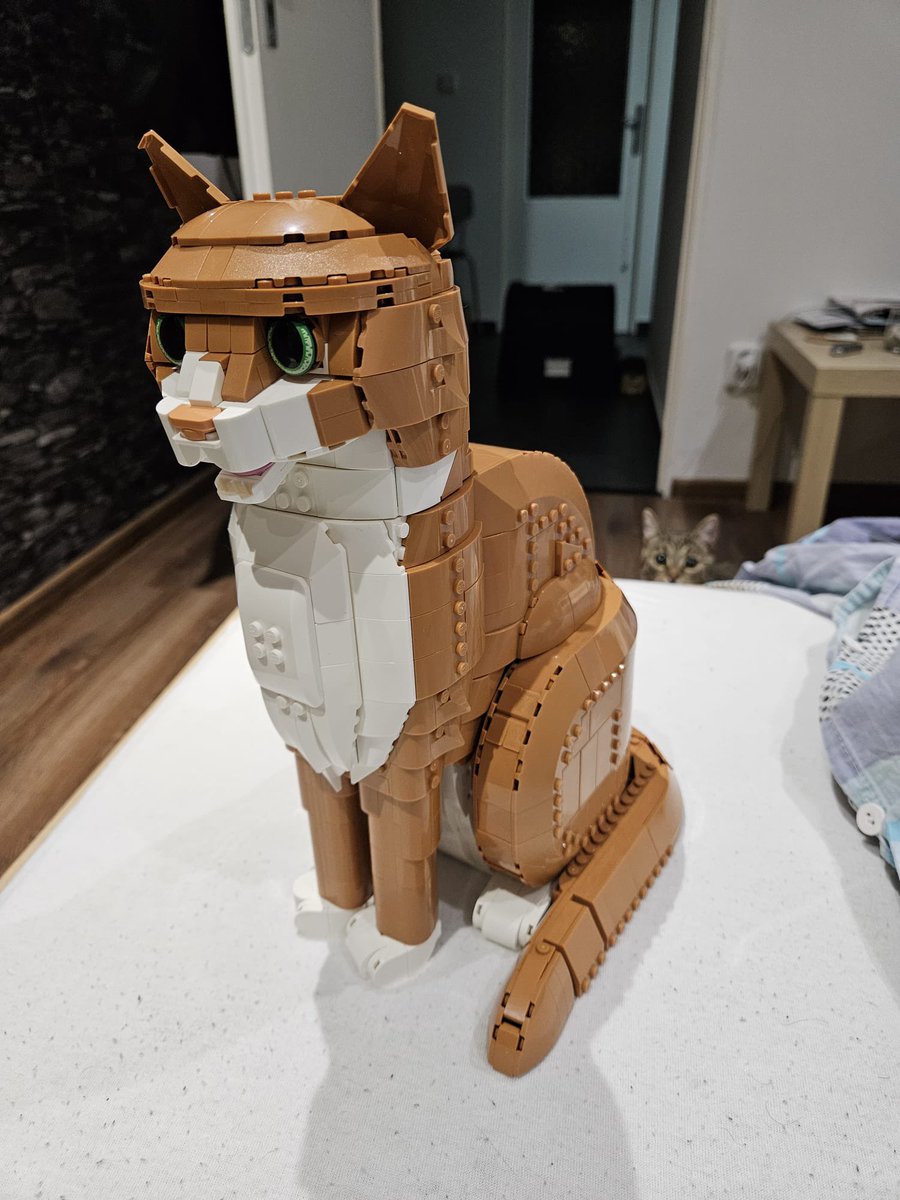 otevřený sešit 🏳️‍🌈 tweet media