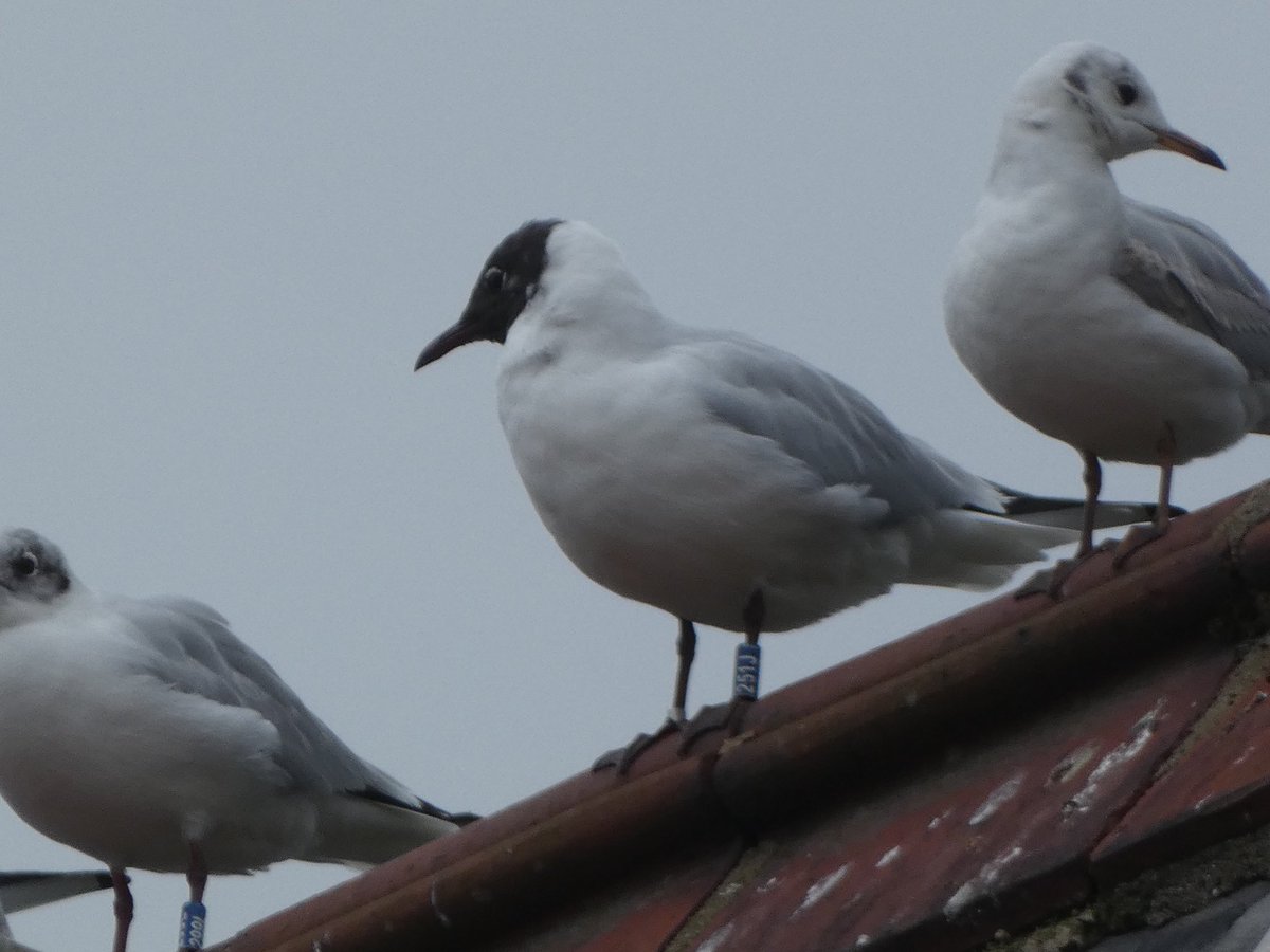 allthingsmothy tweet media