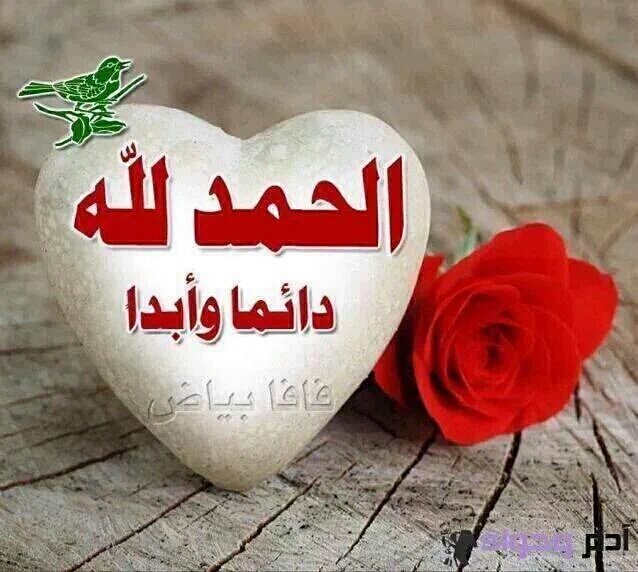 ابوسامي عبده صالح tweet media