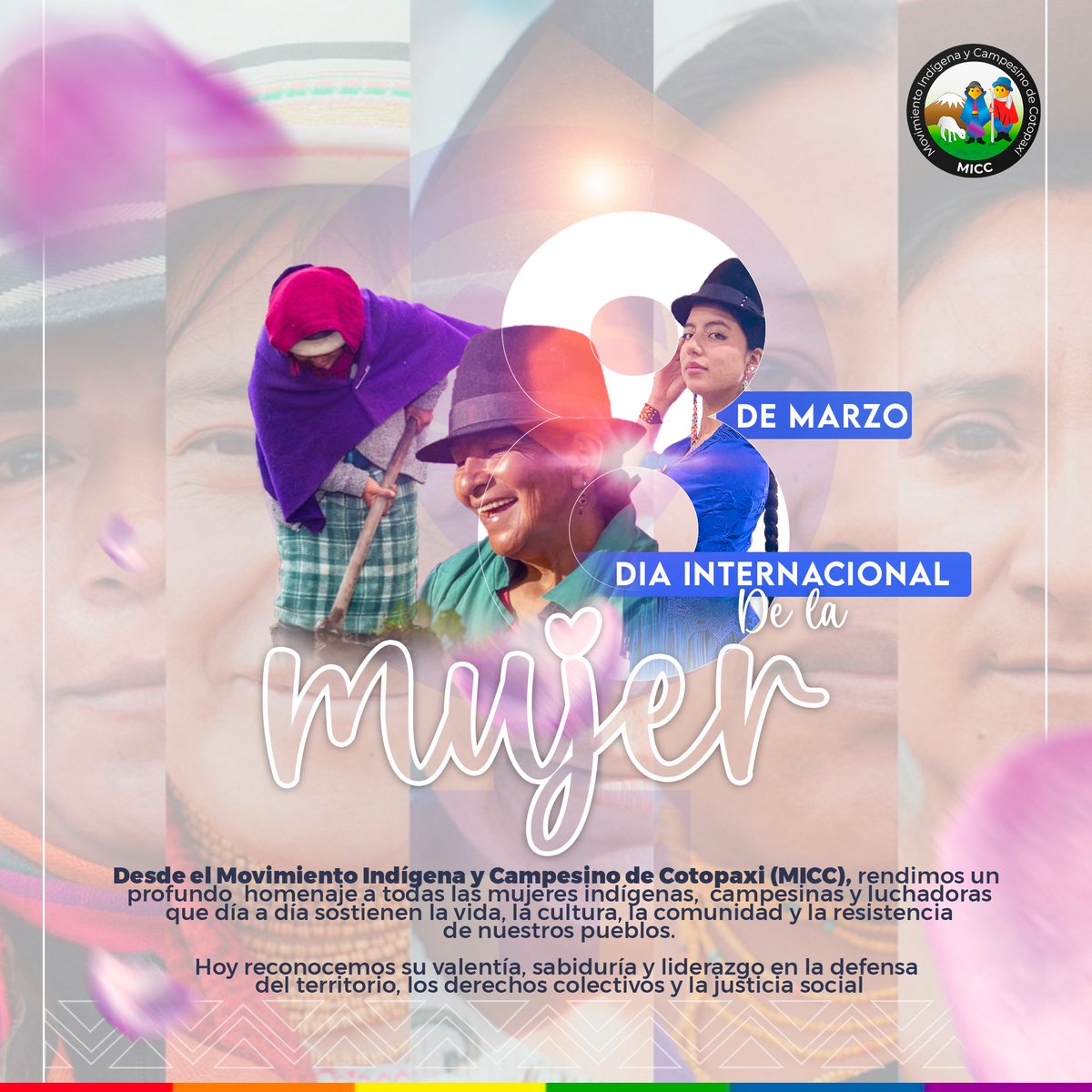 Mov.IndígenaCotopaxi tweet media