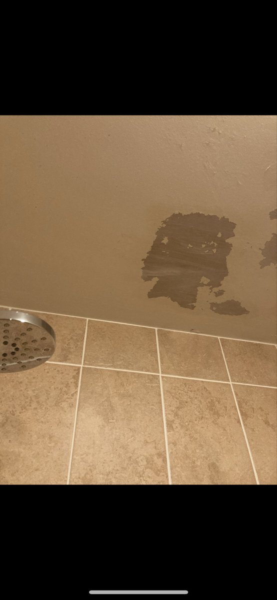 Louise Doughty tweet media