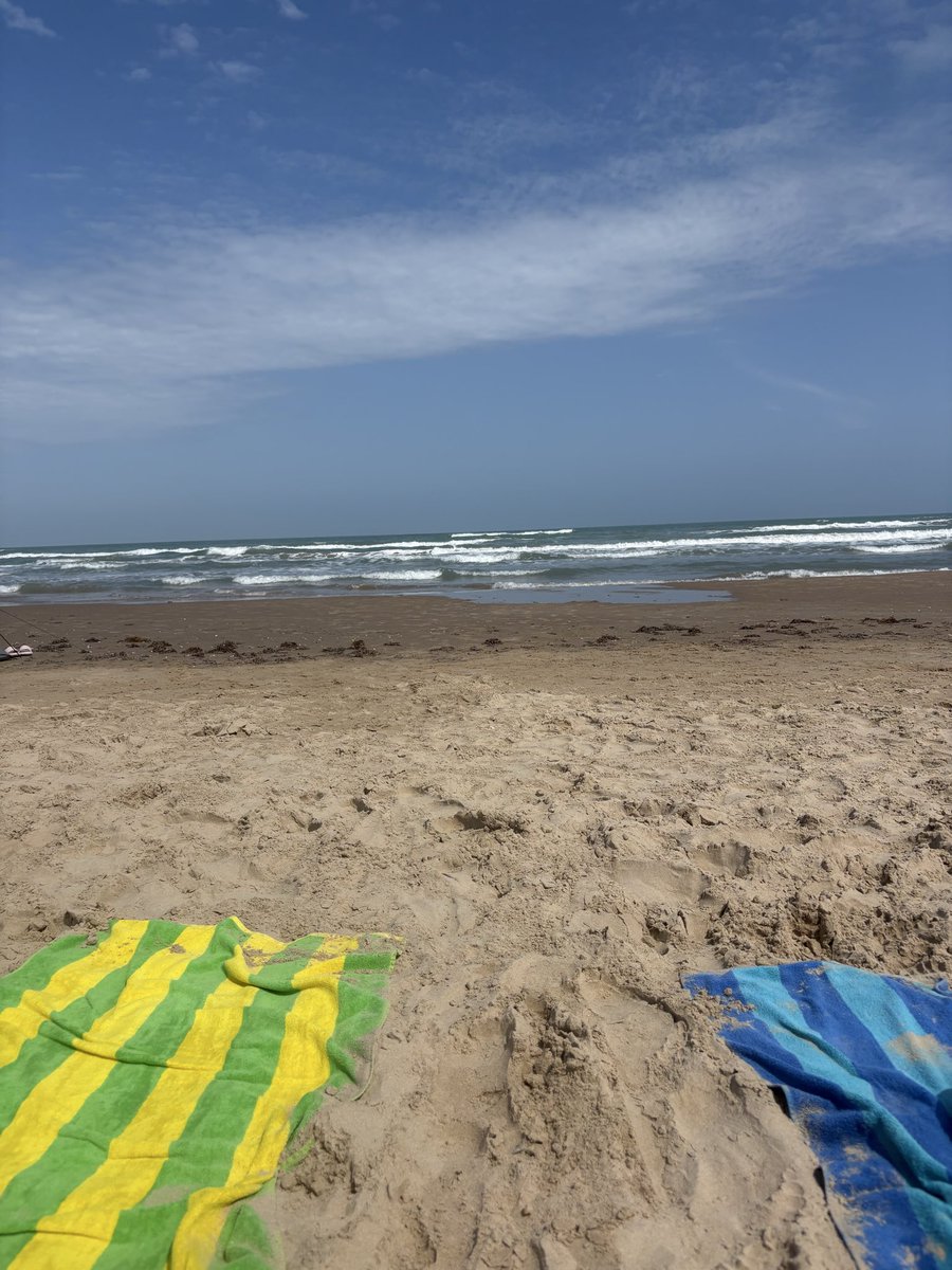 ProfessorSih's tweet image. CBTM #southpadre