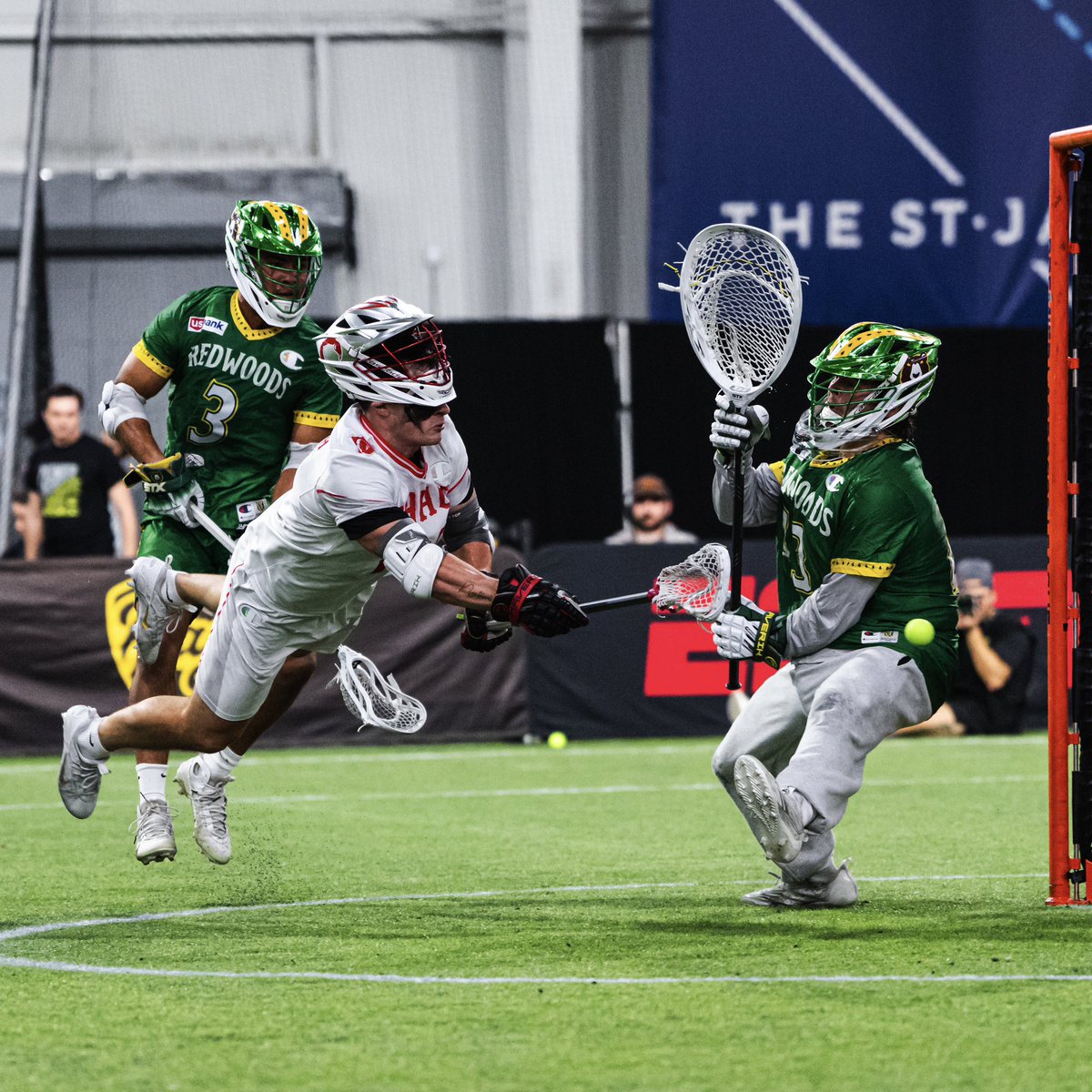 TLN 🥍 tweet media