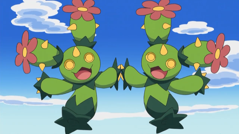 SprigatitoSV's tweet photo. @TerryTheBuneary Maractus https://t.co/iEcWvaWB88