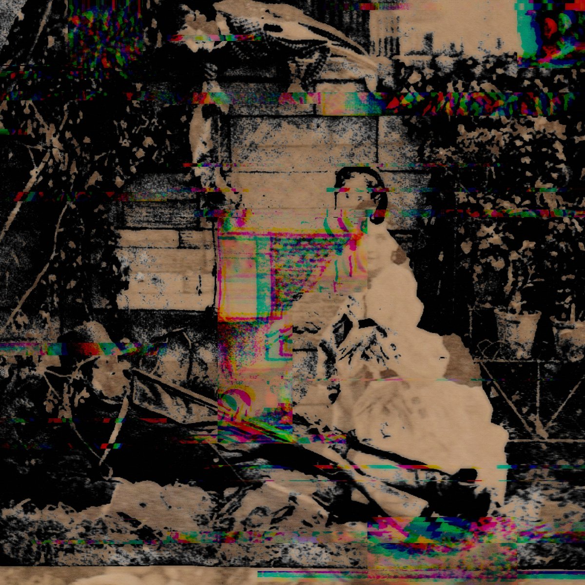 // ryan 🐦‍⬛ tweet media